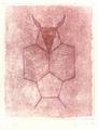 Minotaurus V