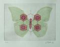 Hypericin-3